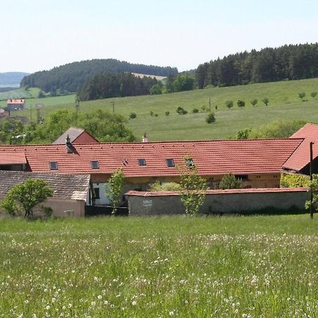 Podkrovi V Jihoceskem Statku Nemejice Bagian luar foto